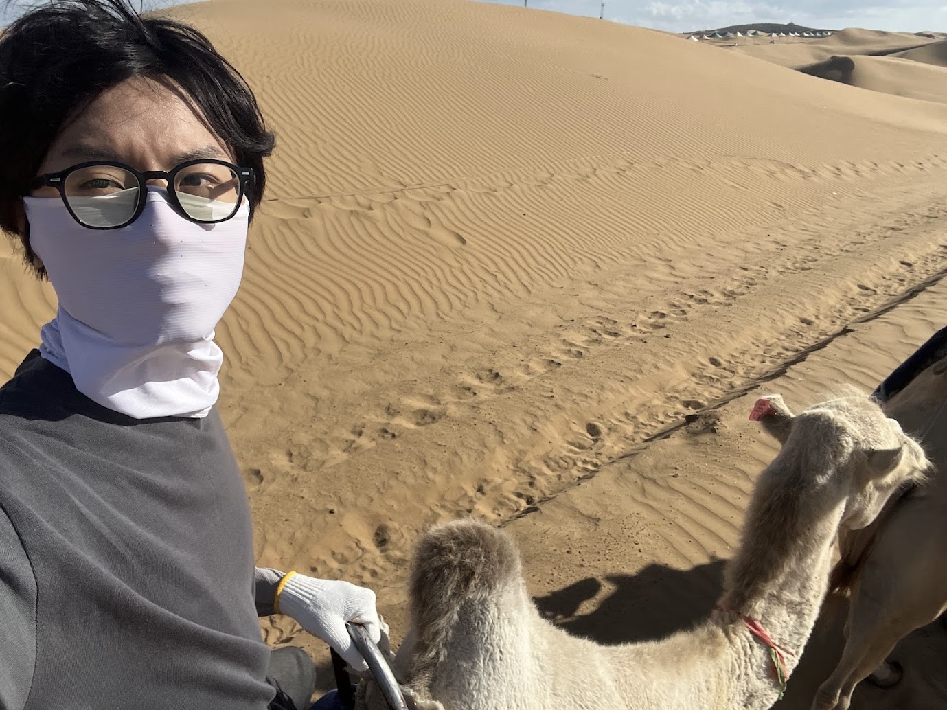 내몽고 패키지 여행 1편 후허하오터시 도착과 샹샤완 사막